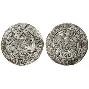 Polska, półgrosz, 1560, Wilno