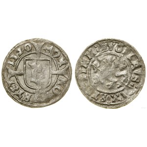 Pomerania, Witten, 1520, Szczecin
