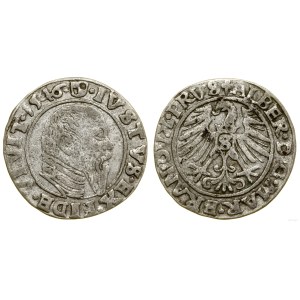 Duchy of Prussia (1525–1657), grosz, 1546, Königsberg