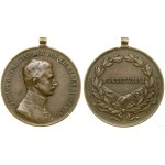 Austria, Bronze Medal for Bravery (Der Tapferkeit), 1917–1918