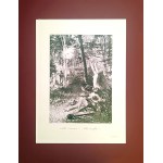 Jan STYKA (1858 - 1925), Kocham!....Szalona noc!...,1901