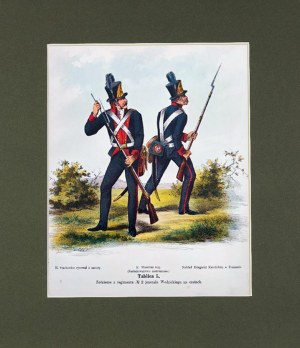 Michał STACHOWICZ (1768-1825), Wojsko Polskie Kościuszki, 1894