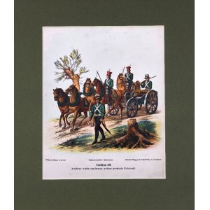 Michał STACHOWICZ (1768–1825), Kościuszko’s Polish Army, 1894
