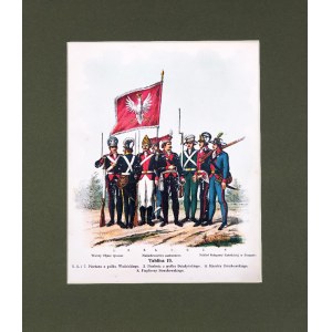 Michał STACHOWICZ (1768–1825), Kościuszkos polnische Armee, 1894