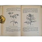 HABERKANTÓWNA Wanda - ŚMIETNIK OPOWIADANIA PRZYRODNICZE Wyd. 1928 Ilustracje