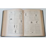 ARCTA M. - DIZIONARIO ILLUSTRATO DELLA LINGUA POLACCA, Volumi I-II, Edizione del 1929