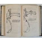 DOROHOSTAJSKI Krzysztof - HIPPIKA, ovvero IL LIBRO SUI CAVALLI. Sigla: sigillo araldico RADZIC. Edizione del 1861. ILLUSTRAZIONI