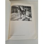 MORKA Mieczysław – POLSKÝ MODERNÍ JEZDECKÝ PORTRÉT A JEHO EVROPSKÝ VZNIK Ilustrace