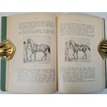 BOUFFAŁŁ Bronisław - SZKOŁA JAZDY KONNEJ I TRESURY KONIA WIERZCHOWEGO Wydanie 1 1912 Ilustracje