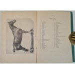 BOUFFAŁŁ Bronisław - SZKOŁA JAZDY KONNEJ I TRESURY KONIA WIERZCHOWEGO Wydanie 1 1912 Ilustracje