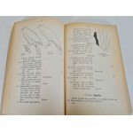 DUNAJEWSKI, A. and MARCHLEWSKI, J. — A Guide to the Identification of Birds of Poland. 1938 edition. Illustrations