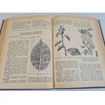 HASŁO OGRODNICZO-ROLNICZE, Vol. VII (1–12/1938), ed. A. Gładysz [Illustrations]