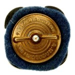 Second Polish Republic, 50th Kresy Rifle Regiment Badge. Nagalski (253)