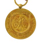 Second Polish Republic, Medal for Long Service, 10 years, with ribbon (306)