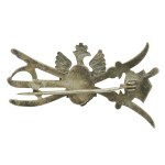 Patriotic brooch featuring an eagle, early 20th century (218)