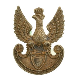 Eagle of the Polish Armed Forces, in accordance with regulations, 1917 (188)