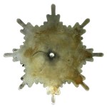 Second Polish Republic, Large Shooting Club Badge (712)