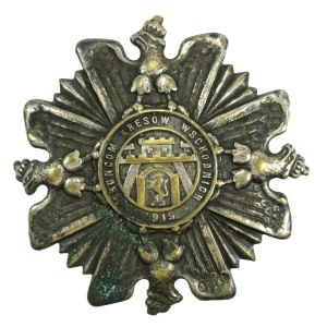 Druhá polská republika, odznak „Orlęta“, obráncům východních pohraničních oblastí z roku 1919 (731)