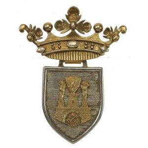 Second Polish Republic, Rifle Corps Badge, Poznań 2006 (790)