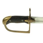 Polish Model 34 saber, known as the “Ludwikówka” (983)