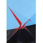 Tomasz Bartelik (b. 1977), Pegasus X, 2026