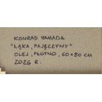 Konrad Hamada (ur. 1981, Kraków), Łąka, pajęczyny, 2026