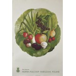 by S. JANUSZEWSKA, Hortex - Polcoop