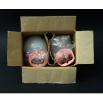 A pair of modernist wall sconces—WAWAR Zielona Góra—in their original box!