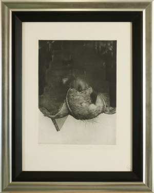 Andrzej JUCHNIEWICZ (ur. 1952), The Drop of Elixir, 1985