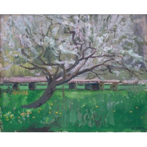 Stanisław Gałek (1876, Mokrzyska – 1961, Zakopane), A Blossoming Orchard with Beehives