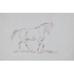 Karol Kossak (1896 Lviv–1975 Ciechocinek), *Horse*, before 1968