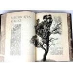 KISIELEWSKI- ZIEMIA GROMADZI PROCHY wyd.1, 1939