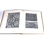 FABRIC 1928