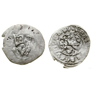 Czech Republic, white fenig, undated, Kutná Hora