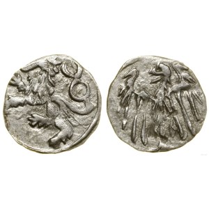 Silesia, halerz based on the Wrocław foot, (1457–1465), Kłodzko