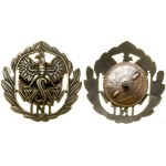 Poland, War College - Quartermaster Course - commemorative badge (COPY)