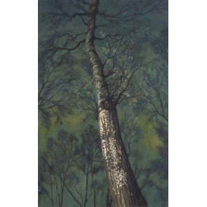 Łukasz Jacek (b. 1978), Evernight 8, 2021