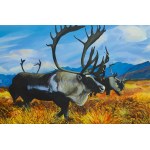 Paweł Fil (b. 1988, Zamość), Reindeer, 2016