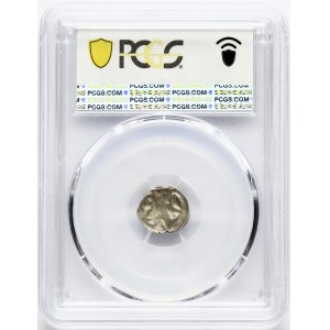 Lithuania Polgrosz ND (1396-1401) Vilnius PCGS AU 53 MAX GRADE