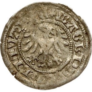 Lituanie Polgrosz ND (1492-1506) Vilnius