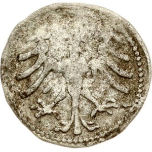 Denar lituano ND (1495-1506) Vilnius, tipo speciale di pogon