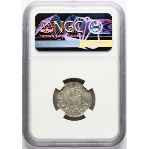 Lithuania Polgrosz ND (1501-1506) Vilnius NGC MS 62