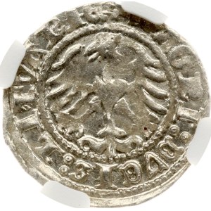 Litva, Polgrosz, 1512, Vilnius, NGC, MS 62
