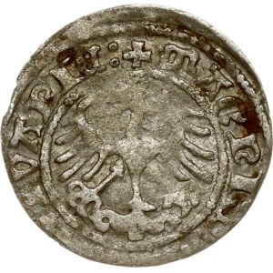 Lituania Polgrosz 1513 Vilnius