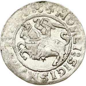 Lituania Polgrosz 1519 Vilnius (MOИEI) Tipo raro