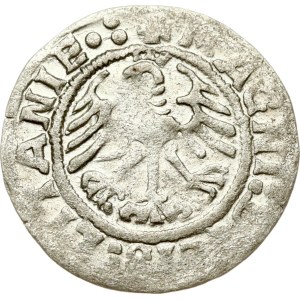 Lituania Polgrosz 1519 Vilnius (MOИEI) Tipo raro