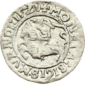 Lituania Polgrosz 1521 Vilnius (:15Z1 SIGISMVANDI)