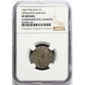 Lituania Grosz 1547 Vilnius (R1) NGC VF DETTAGLI