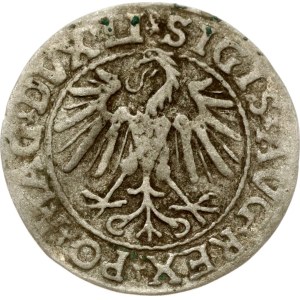 Litwa, Polgrosz, 1547 r., Wilno