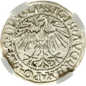 Lithuania Polgrosz 1548 Vilnius NGC MS 64